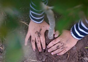 Reforest Fun For Africa - Weekend Update Week 19